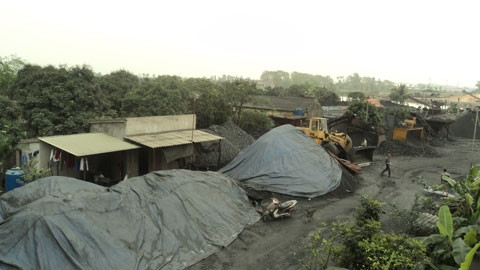 Bãi chuyển đổi cây trồng thành bãi than.