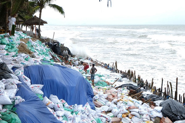 Hàng nghìn bao cát, cọc tre kè chắn sóng tại bãi biển Cửa Đại (Quảng Nam) không đủ sức chống đỡ trước những đợt sóng lớn đánh vào bờ.