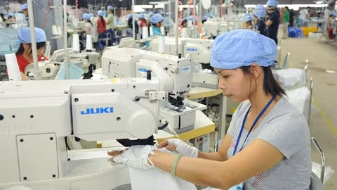 Ảnh minh họa: Đăng Khoa.