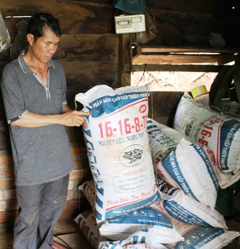 Chưa công bố hợp quy, Công ty Thiên phước vẫn bán phân bón ra thị trường.