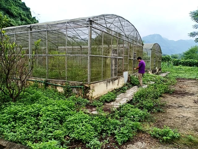 Dự án xây dựng, cải tạo vườn ươm Cao Kỳ (Chợ Mới) chưa thu hồi được 523 triệu đồng thanh toán sai.