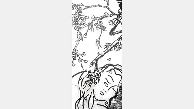 Giấc mơ hoa đào