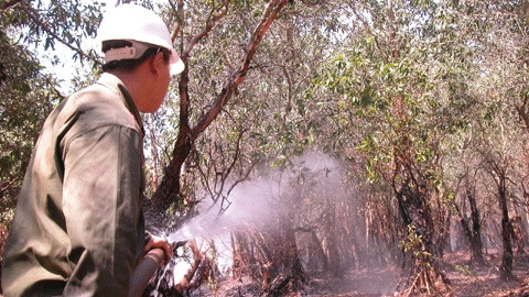 Đốt cỏ chủ động ở vườn quốc gia Tràm Chim.