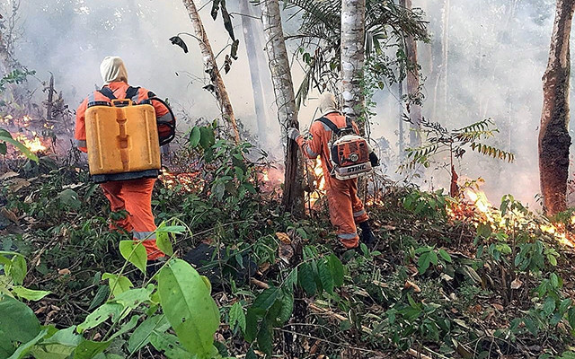 Lực lượng tham gia chống cháy rừng Amazon ở Brazil.