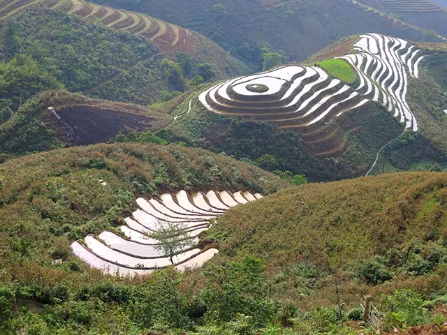 Ruộng bậc thang ở Xín Vàng, huyện Bắc Yên (Sơn La) mùa nước đổ. Ảnh: TÙNG LÊ