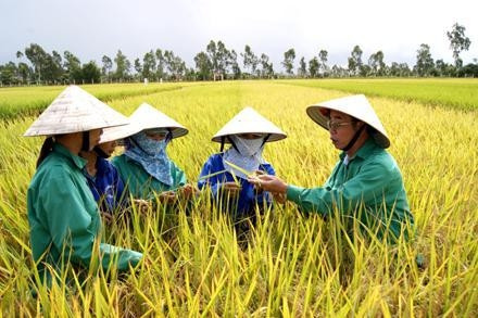  Tổng Giám đốc Trần Mạnh Báo làm việc cùng cán bộ kỹ thuật tại TSC.