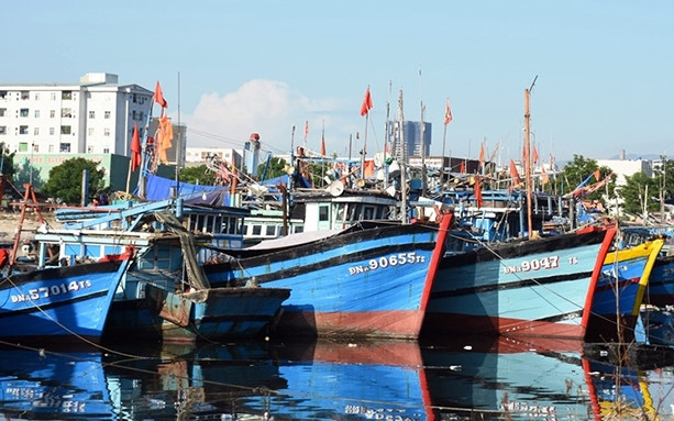 Nhiều tàu cá của ngư dân Ðà Nẵng buộc phải nằm bờ vì quy định mới.