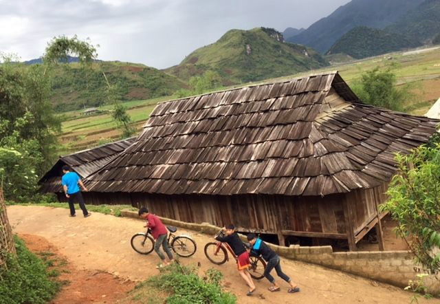 Lô xô mái gỗ pơ mu