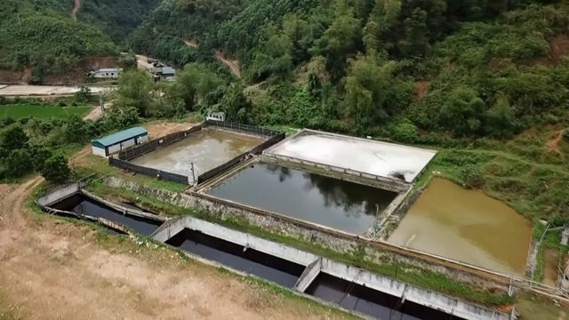 Công ty Thuận Phát vẫn tiếp tục hoạt động và xả thải ra môi trường.