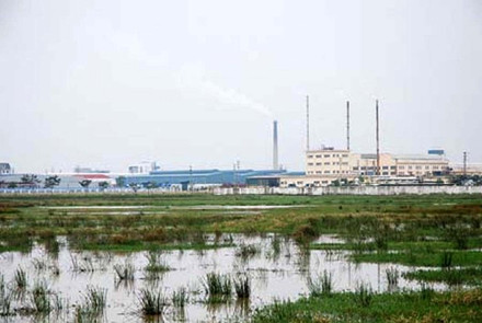 Đất nông nghiệp bị thu hồi nhưng chưa có dự án đầu tư dẫn tới tình trạng để hoang hóa tại KCN Quế Võ - Bắc Ninh.