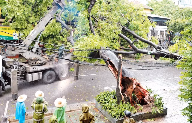 Các lực lượng chức năng thu dọn cây xanh bị gãy đổ trên phố Trần Xuân Soạn, quận Hai Bà Trưng (Hà Nội). Ảnh: ĐĂNG KHOA