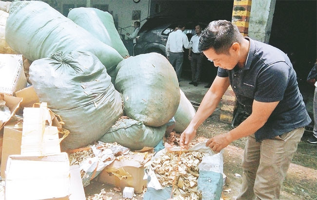 Đông dược nhập lậu kém chất lượng do Chi cục Quản lý thị trường thành phố kiểm tra, phát hiện chờ tiêu hủy.