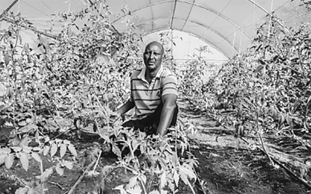 Một trang trại nông nghiệp ứng dụng khoa học kỹ thuật tại Kenya.