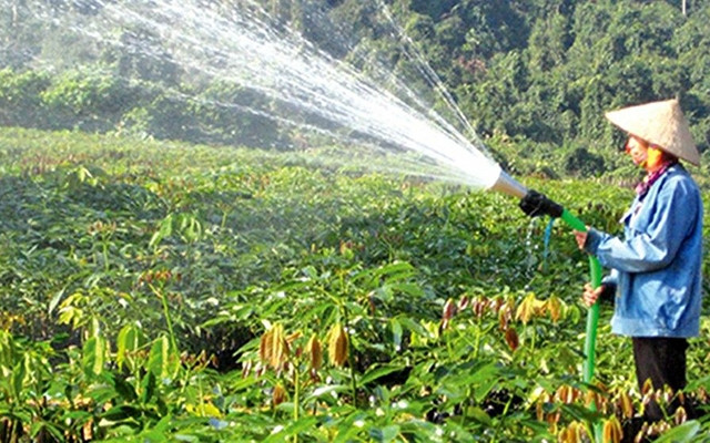  Công nhân Công ty TNHH một thành viên Cao-su Hương Khê - Hà Tĩnh (Tập đoàn Công nghiệp Cao-su Việt Nam) chăm sóc vườn ươm. Ảnh: Công Lâm