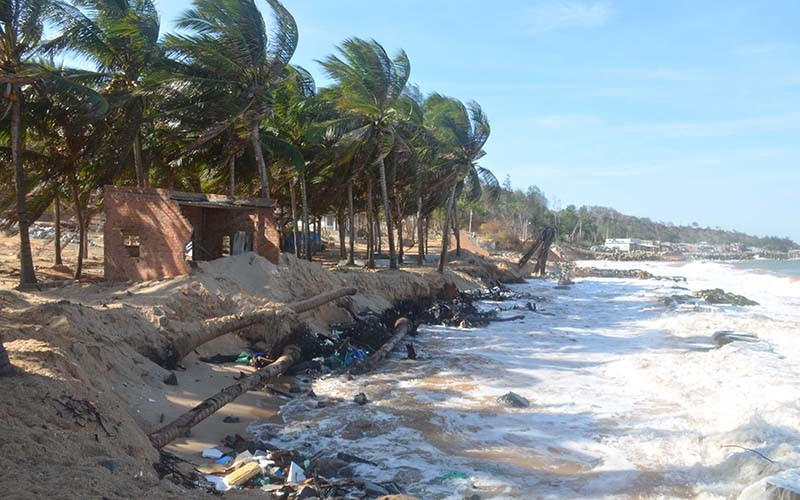 Đoạn sạt lở nghiêm trọng có chiều dài gần 300 m, sâu vào đất liền từ 20 - 25m thuộc bờ biển thôn Tiến Đức, xã Tiến Thành, TP Phan Thiết.