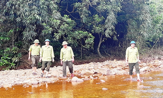 Cán bộ, nhân viên Ban quản lý rừng phòng hộ Động Châu tuần tra bảo vệ rừng.