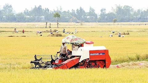 ĐBSCL đang tiến tới cơ giới hóa trong sản xuất nông nghiệp.