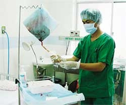 Tách tế bào gốc máu cuống rốn
từ nhau thai tại Bệnh viện
Truyền máu và Huyết học.