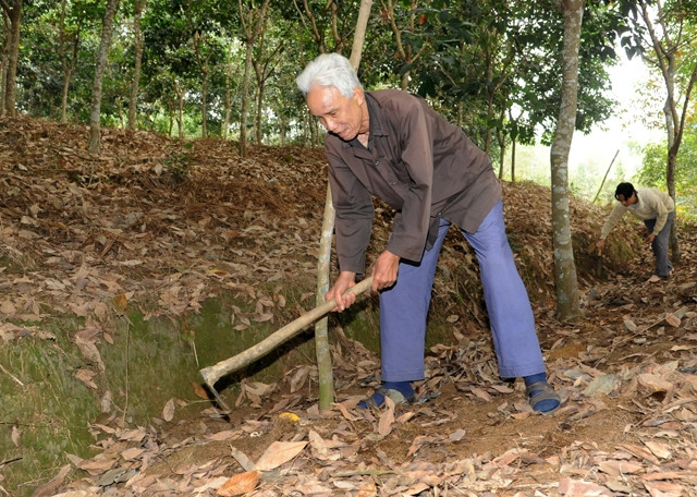 Việc triển khai chính sách giao đất, giao rừng cho đồng bào dân tộc thiểu số tại nhiều địa phương chưa tốt nên chưa phát huy hiệu quả.