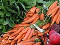 Cà rốt,  vị thuốc quý