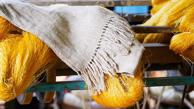 Khăn lụa tơ sen không óng ả như lụa tơ tằm nhưng thoáng, nhẹ và thoảng hương sen.