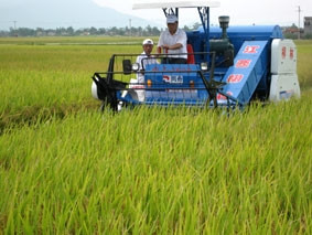 Nông dân Thanh Hóa từng bước
cơ giới hóa khâu thu hoạch.