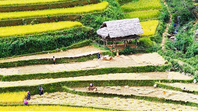 Về quanh bóng nhà sàn