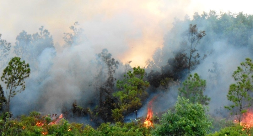 Ngọn lửa trùm lên khu rừng thông tại huyện Bố Trạch giữa trưa nắng nóng cao điểm 