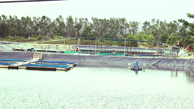 Một chút bất cẩn cũng có thể thương tật cả đời.