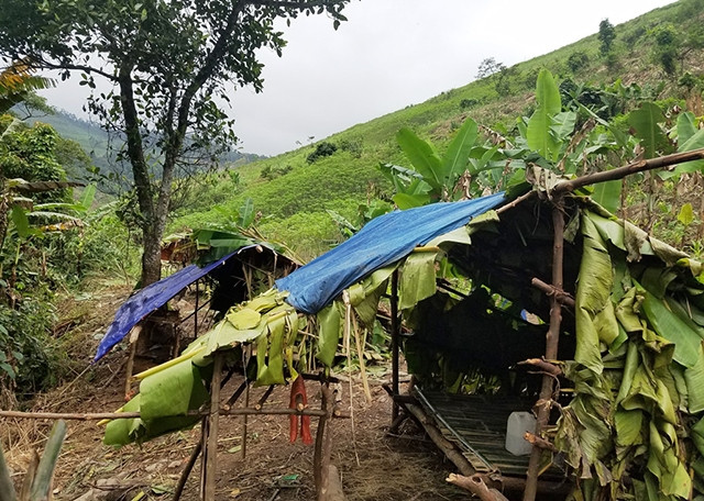 Lán của bà con bản Lòm ở lại trong ngày khi vào rừng làm rẫy. 