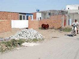 Dãy nhà trái phép tại khu phố 3,
phường Bình Hưng Hòa.