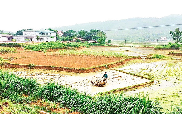 Sản xuất manh mún, nhỏ lẻ dẫn đến hiệu quả kinh tế thấp, người nông dân không thể bảo đảm cuộc sống. Trong ảnh: Làm ruộng tại xã Bạch Lựu (huyện Sông Lô, Vĩnh Phúc). Ảnh: HỒNG TÍNH