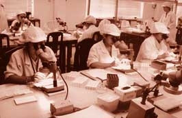 Một cơ sở sản xuất của Công ty
Minh Trân.