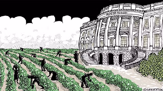 Biếm họa của MONTE WOLVERTON