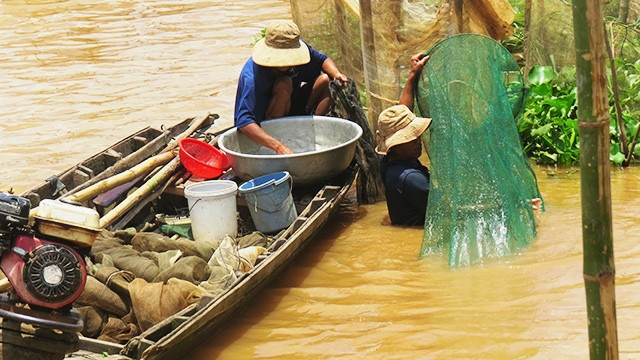 Đi gỡ đáy.