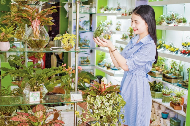 Nghệ thuật sinh thái mi-ni (terrarium), thu hút người chơi cây cảnh ở TP Hồ Chí Minh.