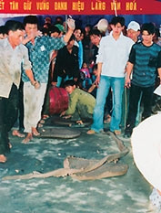 Chơi pháo đất là cả
một nghệ thuật.