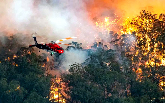 Thảm họa cháy rừng ở Australia. Ảnh EPA