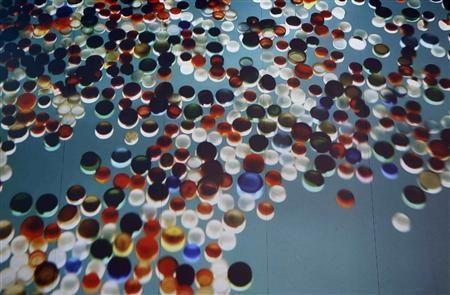 Rác trôi trên biển thành tác phẩm triển lãm ở Venice