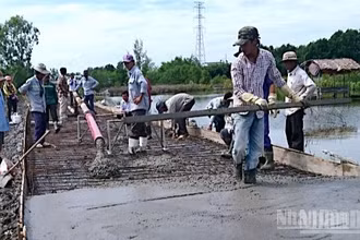 Tranh thủ thời tiết thuận lợi, nhiều nhà thầu thi công công trình giao thông tại Cà Mau đẩy nhanh nhằm bù đắp tiến độ trong điều kiện khó khăn.