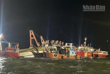 Tính đến 21 giờ đã tìm thấy 38 nạn nhân vụ đắm tàu, trong đó 10 người còn sống và 28 người tử vong.
