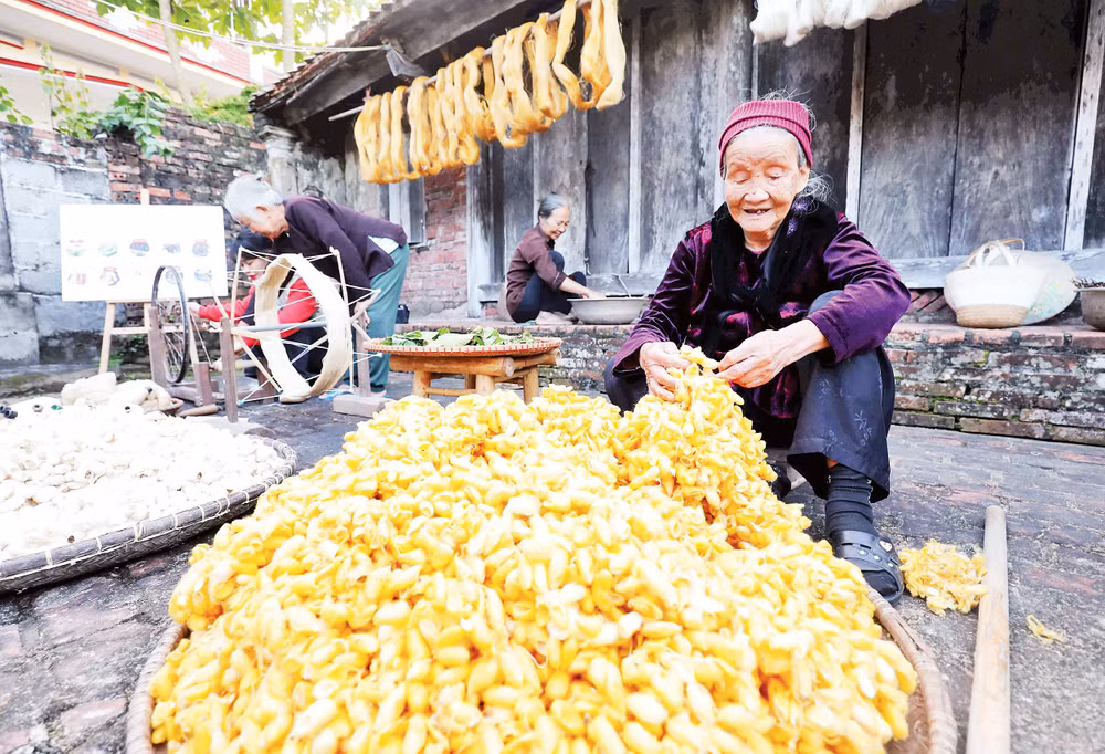 Làng còn 60 nghệ nhân cao tuổi thành thạo kỹ thuật rút đũi cổ truyền.