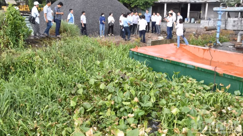 Ngành chức năng kiểm tra chất lượng nước tại khu vực có rau màu, cây ăn trái thiệt hại.