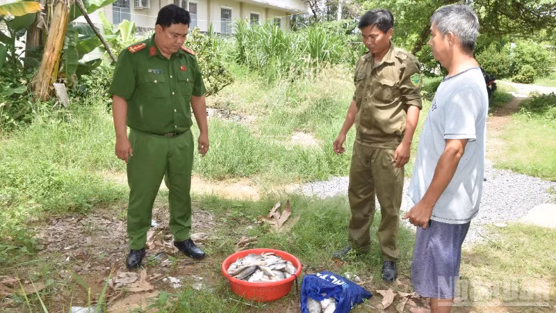 Công an xã Tân Phước 3 tạm giữ số cá mà đối tượng Lê Tấn Duy dùng xung điện đánh bắt trái phép.