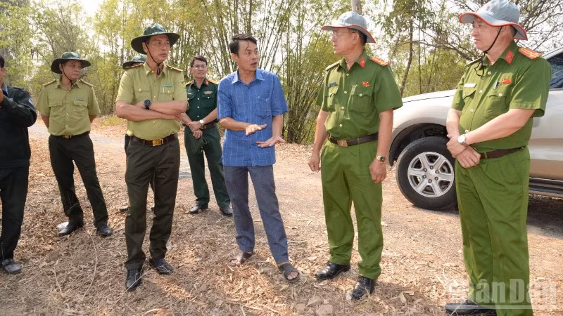 Ngành chức năng kiểm tra khu vực có nguy cơ cháy rừng cao trên địa bàn tỉnh Đồng Tháp.