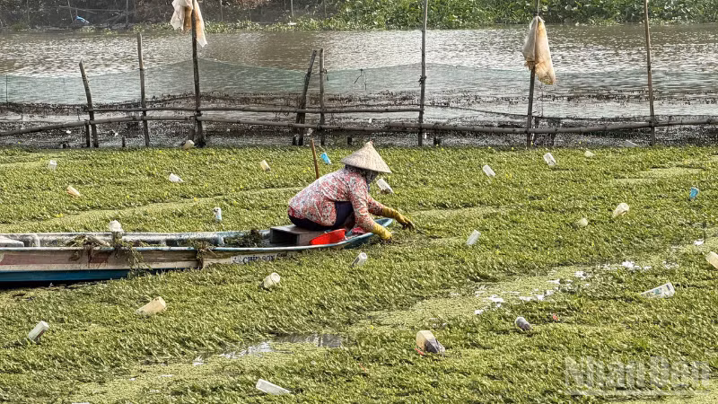 ndo_br_thiet-ke-chua-co-ten-1.png