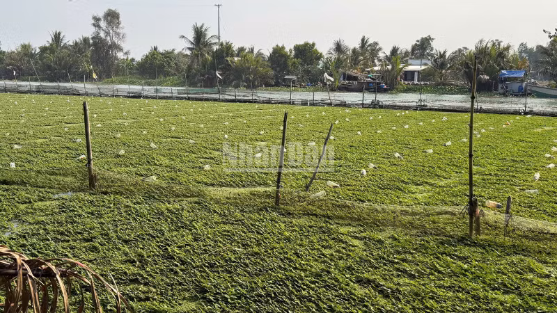 ndo_c_thiet-ke-chua-co-ten-3.png