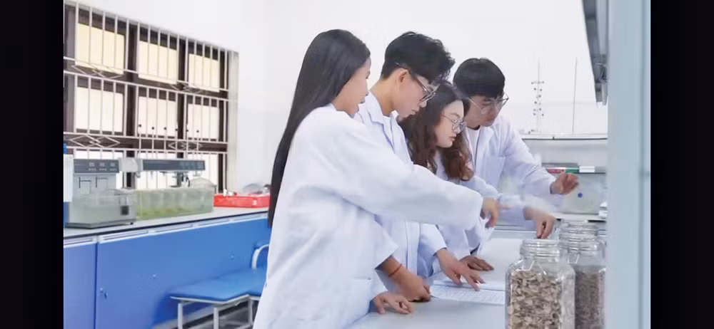 Nhóm sinh viên chủ nhân dự án Chilicap trong phòng thí nghiệm tại trường (Ảnh chụp từ video của Trường đại học Yersin Đà Lạt)