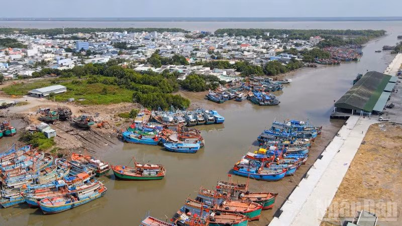 Đánh bắt thủy sản là một trong những thế mạnh của kinh tế biển ở tỉnh Đồng Tháp.