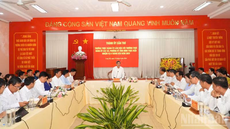 Quang cảnh buổi làm việc.
